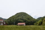 備後 糸井土居館の写真