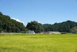 岩熊山城写真