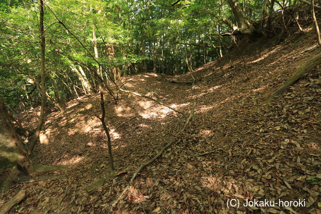 備後 陣床山城の写真