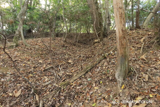 備後 的場山城(三良坂町)の写真