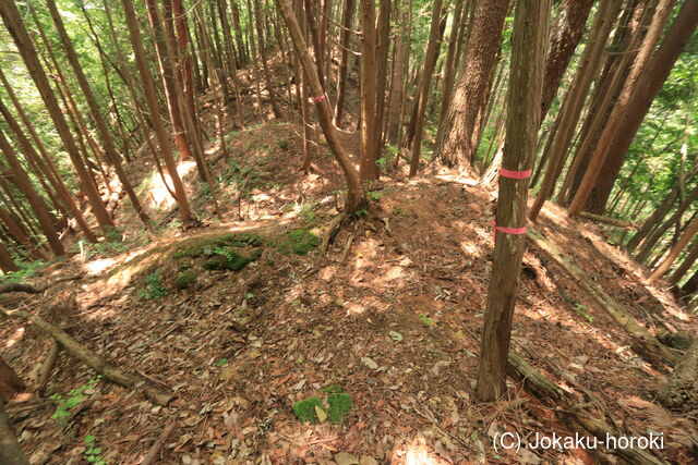 備後 釜峰山城の写真