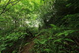 備後 釜峰山城の写真