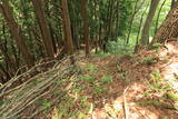 備後 釜峰山城の写真