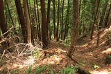 備後 釜峰山城の写真