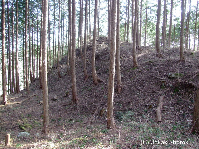 備後 亀山城(東城町)の写真