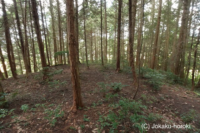 備後 門出山城(上徳良)の写真