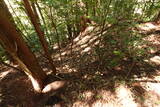 備後 門出山城(上徳良)の写真
