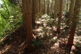 備後 門出山城(上徳良)の写真