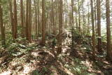 備後 門出山城(上徳良)の写真
