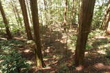 備後 門出山城(上徳良)の写真