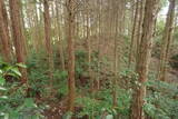 備後 門出山城(上徳良)の写真