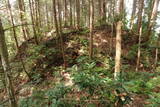備後 門出山城(上徳良)の写真