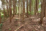 備後 門出山城(上徳良)の写真