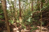 備後 門出山城(上徳良)の写真