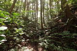 備後 門出山城(上徳良)の写真