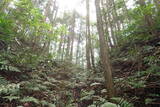 備後 門出山城(上徳良)の写真