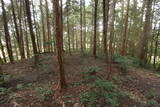 備後 門出山城(上徳良)の写真