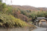 備後 天神山城(新市町)の写真