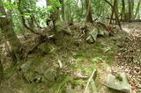 備後 笠城山城の写真