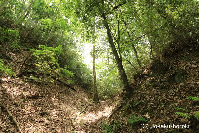 備後 川平山城の写真