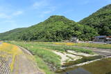 備後 川平山城の写真