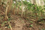 備後 茅城の写真