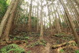 備後 茅城の写真