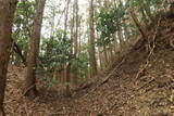備後 茅城の写真