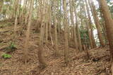 備後 茅城の写真