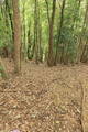 備後 茅城の写真