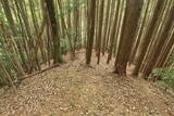 備後 茅城の写真