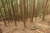 備後 茅城の写真