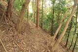備後 茅城の写真
