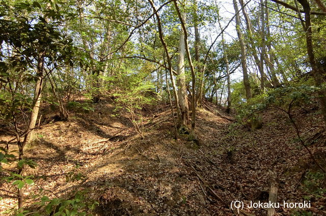 備後 福山城(君田町)の写真