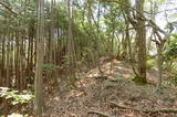 備後 福山城(君田町)の写真