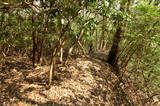 備後 福山城(君田町)の写真