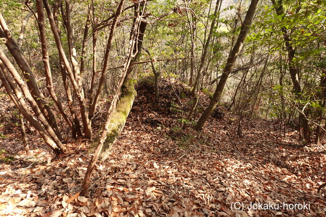 備後 甲谷城の写真