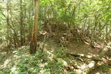 備後 龍王山城(甲奴町)の写真