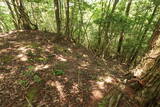 備後 龍王山城(甲奴町)の写真