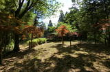 備後 固屋城居館の写真