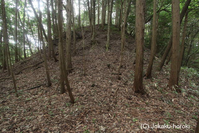 備後 甲山城の写真