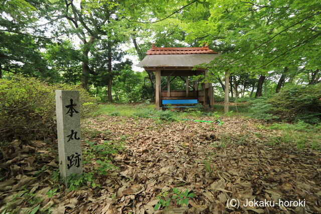 備後 黒岩城の写真