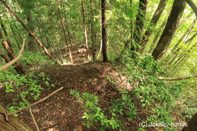 備後 丸原山城の写真