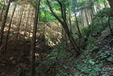 備後 丸原山城の写真