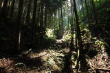 備後 丸原山城の写真