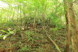 備後 丸原山城の写真