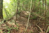 備後 丸原山城の写真