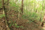 備後 丸原山城の写真