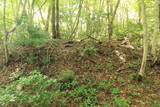 備後 丸原山城の写真