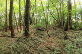 備後 丸原山城の写真
